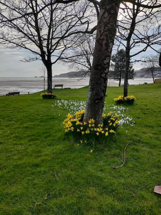 Fishermen'S Cottage With Log Burner, 2 Bathrooms & Sea Views From Garden Terraces The Mumbles Bagian luar foto